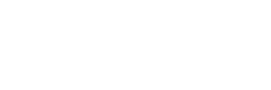 Chubb Logo