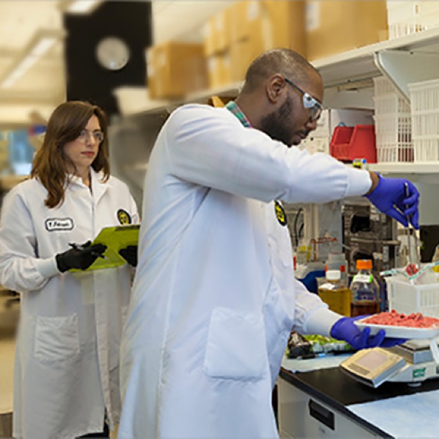 Pharmacists in a Lab